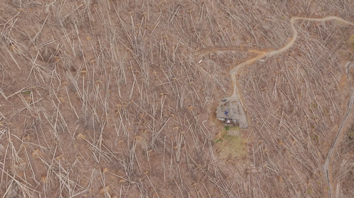 Hurricane Helene Tree Salvage Initiative Aerial view of Elk Mountain
